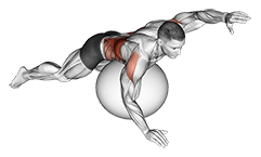 Exercise Ball Alternating Arm Ups exercise demonstration