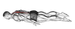 Lower Back Curl exercise demonstration for Back, Body weight