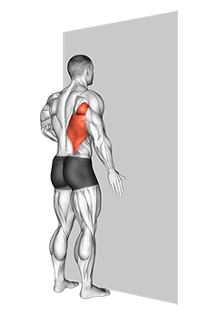 One Arm Against Wall exercise demonstration for Back, Body weight
