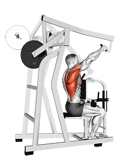 Lever One Arm Lateral High Row exercise demonstration for Back, Leverage machine