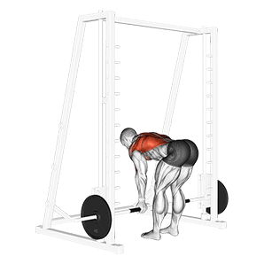 Smith Reverse Grip Bent Over Row exercise demonstration