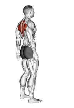 Upper Back Stretch exercise demonstration for Back, Body weight