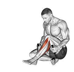 Posterior Tibialis Stretch exercise demonstration for Calves, Rope