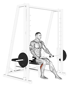 Smith Seated One Leg Calf Raise exercise demonstration for Calves, Smith machine