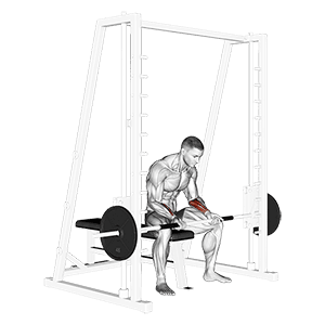 Smith Seated Wrist Curl exercise demonstration