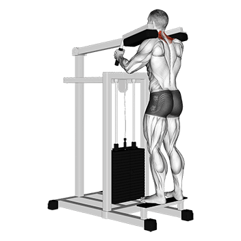 Lever Gripless Shrug exercise demonstration