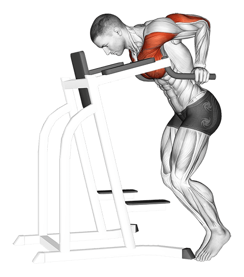 Dip Hold Isometric exercise demonstration