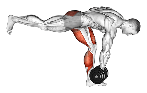 Dumbbell RDL Stretch Isometric exercise demonstration for Hips, Dumbbell