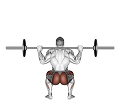 Barbell Full Squat exercise demonstration