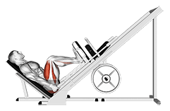 Sled 45° Leg Press exercise demonstration for Quadriceps, and Thighs, Sled machine