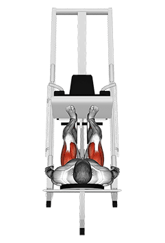 Sled 45° Leg Press exercise demonstration for Quadriceps, and Thighs, Sled machine