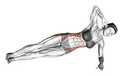 Lateral Side Plank exercise demonstration for Hips, Body weight