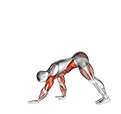 Inchworm exercise demonstration