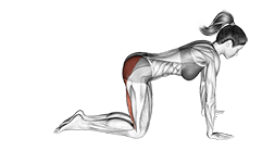 Straight Leg Kickback exercise demonstration for Hips, Body weight