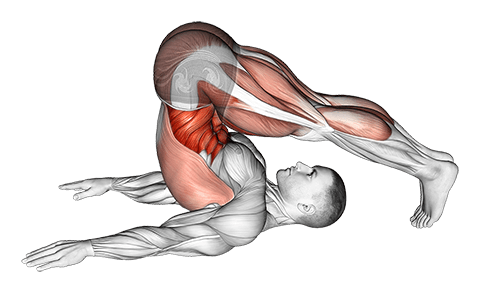 Plow Yoga Pose exercise demonstration