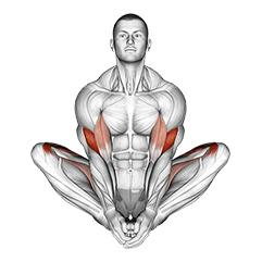 Butterfly Yoga Pose exercise demonstration for Thighs, Body weight