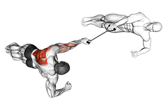 Band Side Plank Row with Partner exercise demonstration