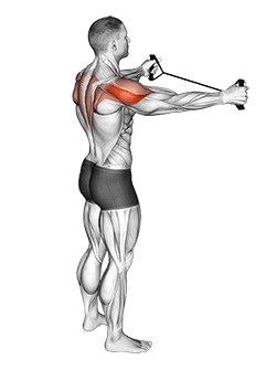 Band Pull Apart exercise demonstration