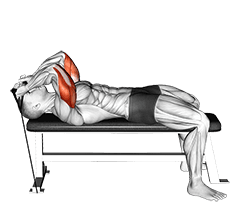 Band Skull Crusher exercise demonstration