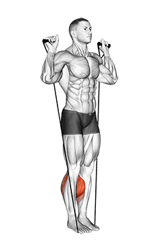 Band Calf Raise exercise demonstration