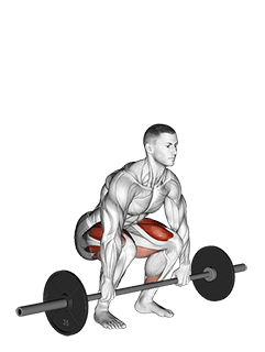 Barbell Clean Deadlift exercise demonstration