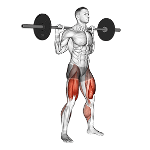 Olympic Squat exercise demonstration