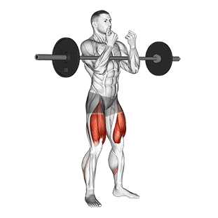 full Zercher Squat exercise demonstration for Quadriceps, and Thighs, Barbell