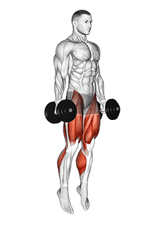 Dumbbell Jumping Squat exercise demonstration for Plyometrics, Dumbbell