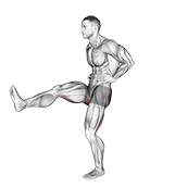 Front Back Leg Raises exercise demonstration for Hips, Body weight