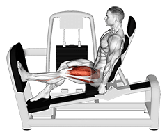 Lever Seated One Leg Wide Squat exercise demonstration for Thighs, Leverage machine