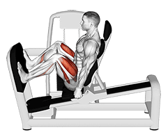 Lever Seated Wide Squat exercise demonstration for Thighs, Leverage machine