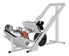 Sled 45├╕ Narrow Stance Leg Press exercise demonstration for Thighs, Sled machine