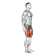 Bodyweight Rear Lunge exercise demonstration for Quadriceps, and Thighs, Body weight