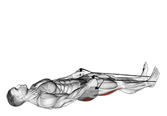 Reclining Big Toe Pose with Rope exercise demonstration for Thighs, Rope