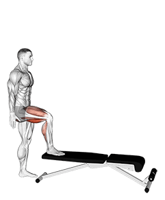 Single Leg Push Off exercise demonstration for Thighs, Body weight