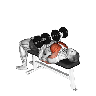 Reverse Bench Press exercise demonstration for Chest, Dumbbell