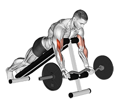 EZ Barbell Spider Curl exercise demonstration for Biceps, and Upper Arms, EZ Barbell
