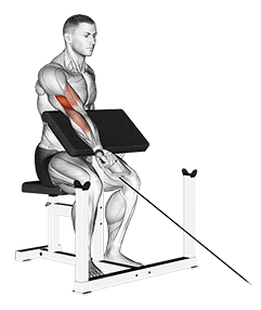 Cable One Arm Preacher Curl exercise demonstration for Biceps, and Upper Arms, Cable