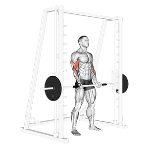 Smith Machine Bicep Curl exercise demonstration