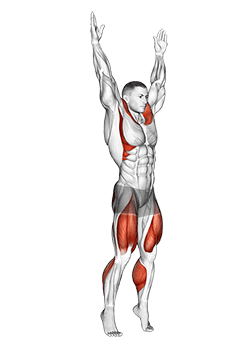 Squat to Overhead Reach exercise demonstration for Plyometrics, Body weight