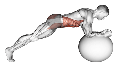Stability Ball Front Plank exercise demonstration