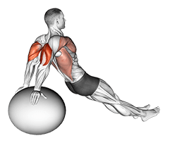 Exercise Ball Dip exercise demonstration
