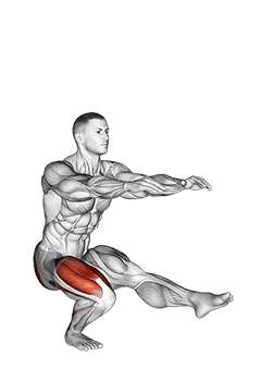 Single Leg Squat exercise demonstration for Quadriceps, and Thighs, Body weight