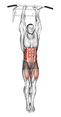 Hanging Oblique Knee Raise exercise demonstration for Waist, Body weight