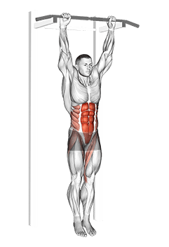 Hanging Leg Hip Raise exercise demonstration for Waist, Body weight