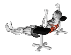 Elbow Lift - Reverse Push-Up exercise demonstration for Back, Body weight