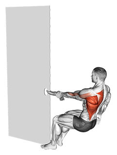 One Arm Towel Row exercise demonstration for Back, Body weight