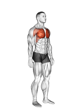 Above Head Chest Stretch exercise demonstration