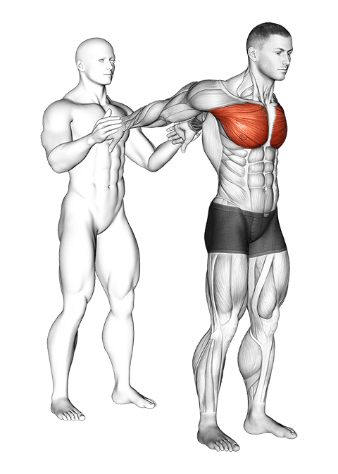 Assisted Standing Chest Stretch exercise demonstration