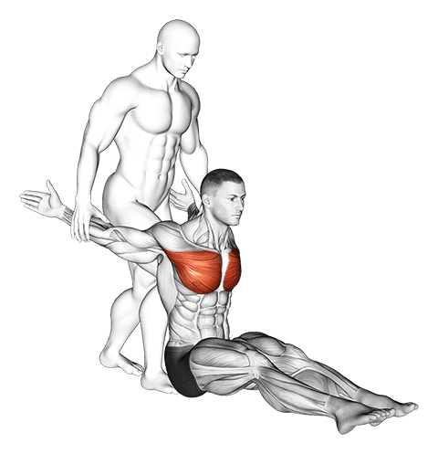 Assisted Seated Chest Stretch exercise demonstration